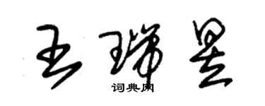 朱錫榮王瑞昱草書個性簽名怎么寫