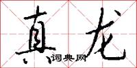 真龍怎么寫好看