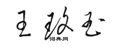 駱恆光王玫玉草書個性簽名怎么寫