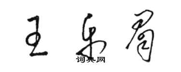 駱恆光王樂眉草書個性簽名怎么寫