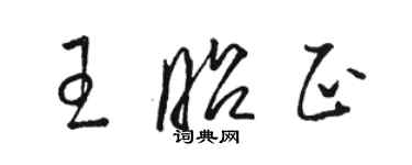 駱恆光王昭正草書個性簽名怎么寫