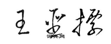 駱恆光王聖標草書個性簽名怎么寫