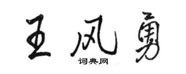 駱恆光王風勇行書個性簽名怎么寫