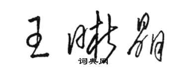 駱恆光王晰晶草書個性簽名怎么寫