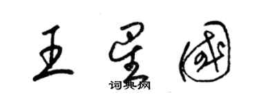 梁錦英王星國草書個性簽名怎么寫