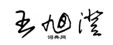 朱錫榮王旭澄草書個性簽名怎么寫