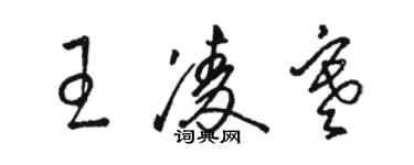 駱恆光王凌寒草書個性簽名怎么寫