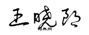 曾慶福王曉朗草書個性簽名怎么寫