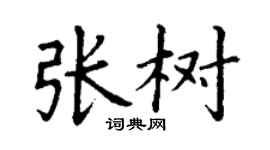 丁謙張樹楷書個性簽名怎么寫