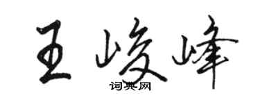 駱恆光王峻峰行書個性簽名怎么寫