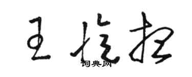 駱恆光王憶想草書個性簽名怎么寫