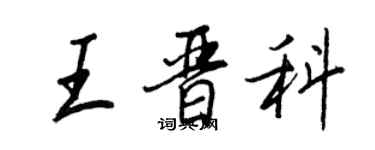 王正良王晉科行書個性簽名怎么寫