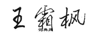 駱恆光王霜楓行書個性簽名怎么寫