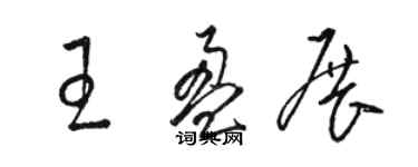 駱恆光王盈展草書個性簽名怎么寫