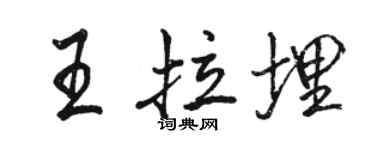 駱恆光王拉埋行書個性簽名怎么寫