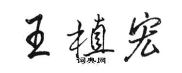 駱恆光王植宏行書個性簽名怎么寫