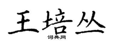 丁謙王培叢楷書個性簽名怎么寫