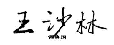 曾慶福王沙林行書個性簽名怎么寫