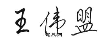 駱恆光王偉盟行書個性簽名怎么寫