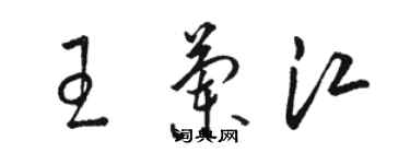 駱恆光王蘭江草書個性簽名怎么寫