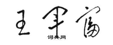 駱恆光王軍富草書個性簽名怎么寫