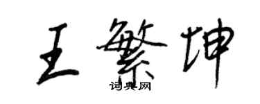 王正良王繁坤行書個性簽名怎么寫