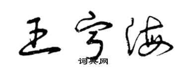 曾慶福王寧海草書個性簽名怎么寫