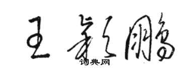 駱恆光王穎鵬草書個性簽名怎么寫