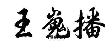 胡問遂王嵬播行書個性簽名怎么寫