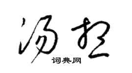 梁錦英湯想草書個性簽名怎么寫