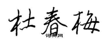 王正良杜春梅行書個性簽名怎么寫