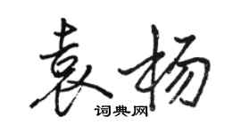駱恆光袁楊行書個性簽名怎么寫