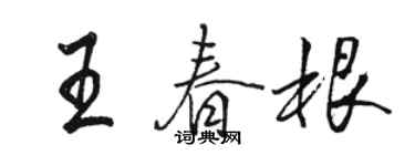 駱恆光王春根行書個性簽名怎么寫