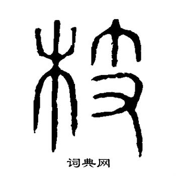 說文解字寫的枝