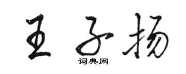 駱恆光王子揚行書個性簽名怎么寫