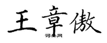 丁謙王章傲楷書個性簽名怎么寫