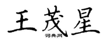 丁謙王茂星楷書個性簽名怎么寫