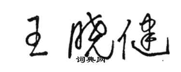 駱恆光王曉健草書個性簽名怎么寫