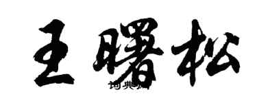 胡問遂王曙松行書個性簽名怎么寫