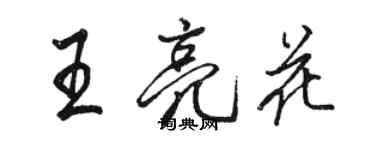 駱恆光王亮花行書個性簽名怎么寫