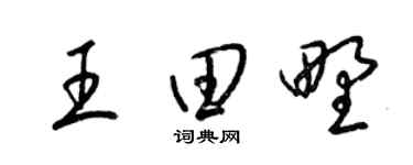 梁錦英王田野草書個性簽名怎么寫