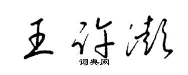 梁錦英王許澎草書個性簽名怎么寫