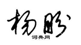 朱錫榮楊盼草書個性簽名怎么寫