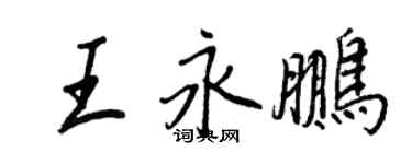 王正良王永鵬行書個性簽名怎么寫