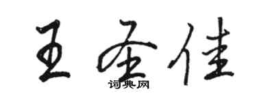 駱恆光王聖佳行書個性簽名怎么寫