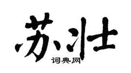 翁闓運蘇壯楷書個性簽名怎么寫