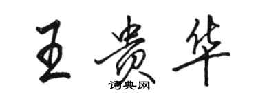 駱恆光王貴華行書個性簽名怎么寫