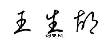 梁錦英王生胡草書個性簽名怎么寫