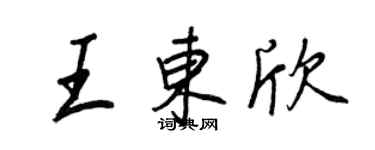 王正良王東欣行書個性簽名怎么寫