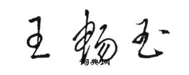 駱恆光王暢玉草書個性簽名怎么寫